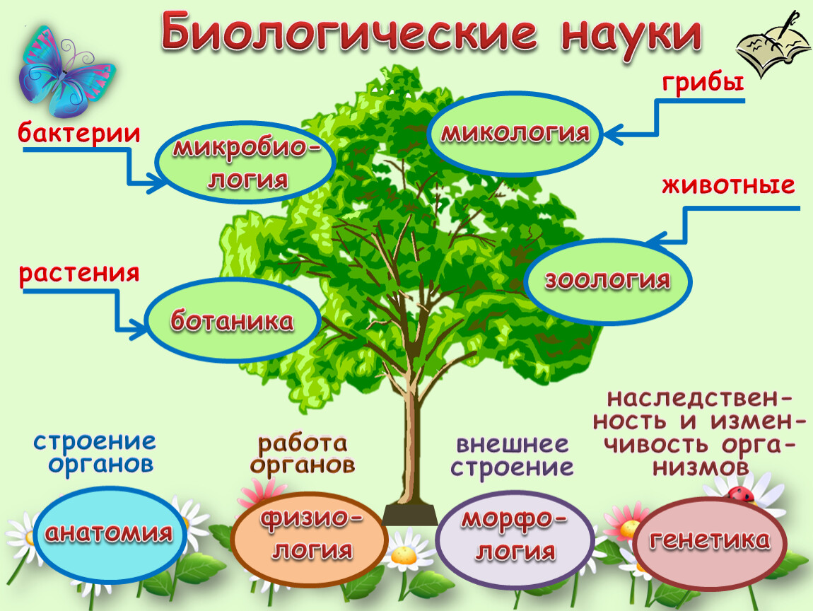 /Files/image/1328f0cdee7af6b4293fdd3554a6183125_1.jpg /Files/image/1328f0cdee7af6b4293fdd3554a6183125_1.jpg